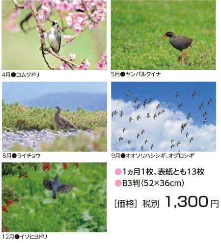 野鳥カレンダー2021写真
