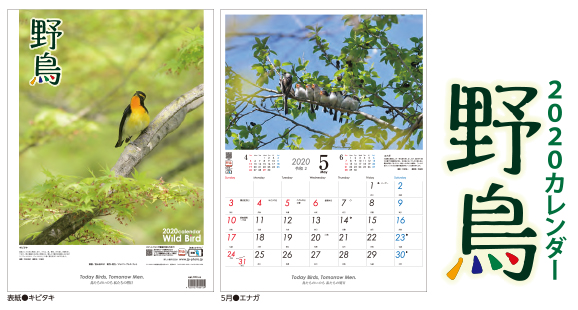 “2020年野鳥かレンダー”